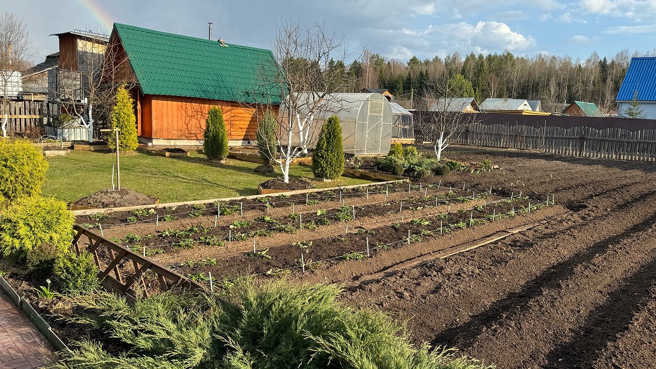 Главная картинка новости: В октябре посыпаю грядки в теплице 1 стаканом такого «порошка» — за зиму почва сама оздоравливается