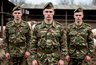 Миниатюра новости: Хлеборезы, кочегары и даже свинари: кто жил сладко в суровой советской армии - срочники кайфовали