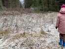 Стало известно, какой будет зима в Костромской области