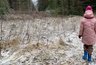 Миниатюра новости: Стало известно, какой будет зима в Костромской области