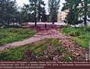 В костромском сквере со слоником нашли археологические артефакты