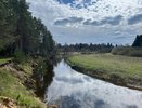 Костромской лесозаготовитель выплатит более полумиллиона рублей за срыв поставки