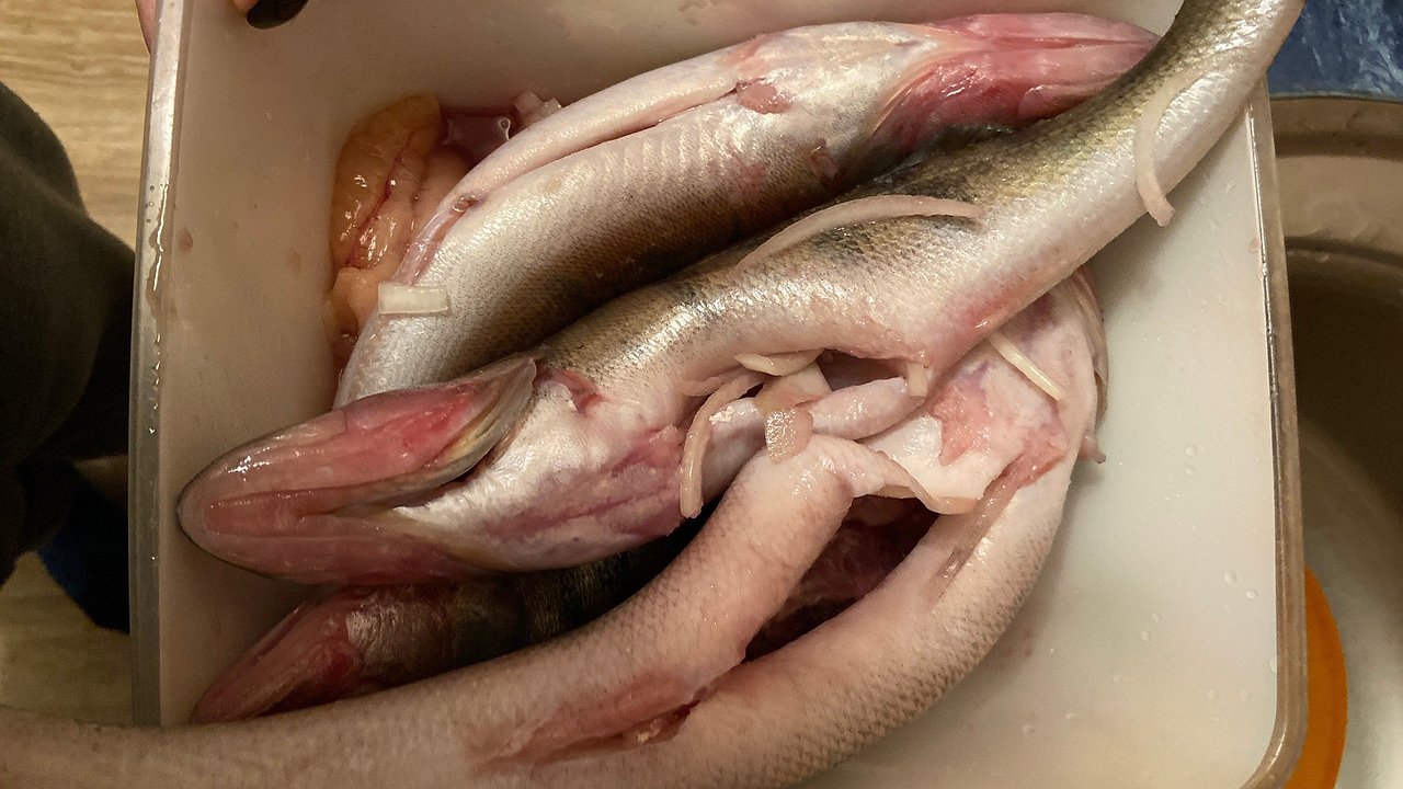 Главная картинка новости: Скупаю килограммы этой копеечной рыбы: бабушка оставила рецепт вкусного и сытного ужина