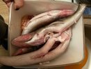 Скупаю килограммы этой копеечной рыбы: бабушка оставила рецепт вкусного и сытного ужина