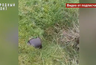 Миниатюра новости: В Костромской области из-за прорыва водопровода проседает дорога