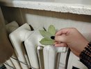 С первыми заморозками кладу лист лаврушки на батарею — и живу без бед: вот что происходит — вся семья замечает разницу