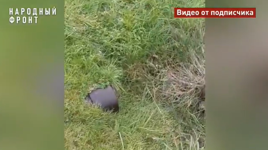 Главная картинка новости: В Костромской области из-за прорыва водопровода проседает дорога