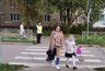 Миниатюра новости: В Костроме полицейские усилили контроль за безопасностью дорожного движения в районе пешеходных переходов