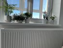 Минстрой разъяснил, что еще УК должна бесплатно менять по ЖКХ кроме радиаторов