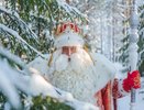 Стало известно, когда Кострому посетит Дед Мороз