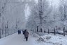 Миниатюра новости: Накроет аномальная погода: такой зимы не было более 20 лет - синоптики выдали прогноз на январь
