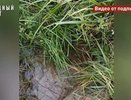 Прокуратура Костромского района проверит жалобы жителей Казанки на водоснабжение