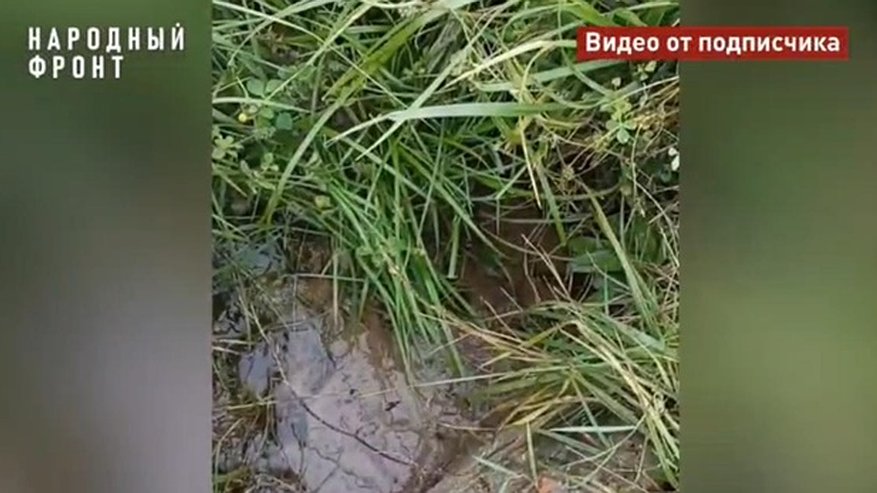 Главная картинка новости: Прокуратура Костромского района проверит жалобы жителей Казанки на водоснабжение