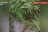 Миниатюра новости: Прокуратура Костромского района проверит жалобы жителей Казанки на водоснабжение