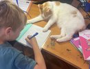 Старинное имя для мальчика быстро набирает популярность: мелодичное, статное и красивое - в переводе значит "Бог спасает"