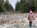В Костромской области ожидается первый снег