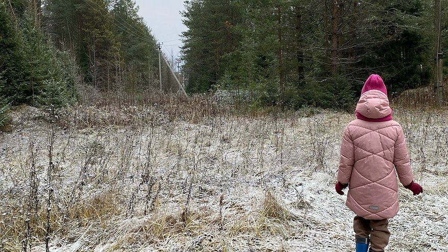 Главная картинка новости: В Костромской области ожидается первый снег