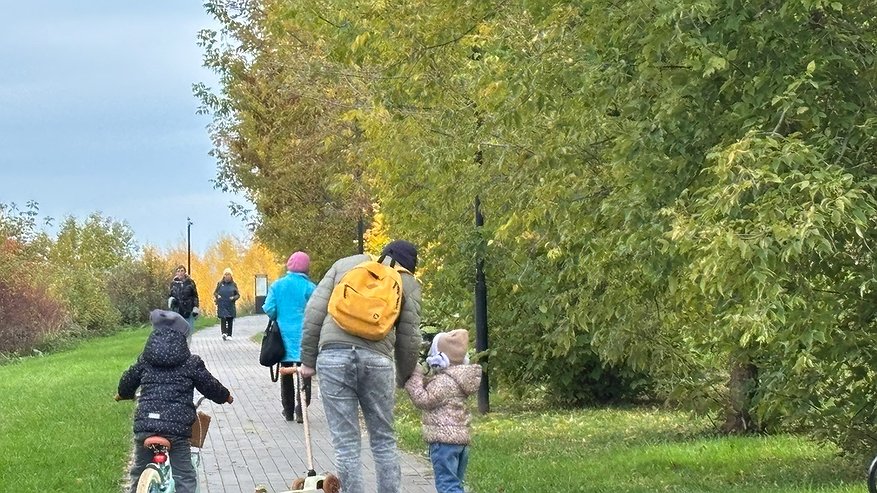 Главная картинка новости: Производственная база БПЛА, подорожание проезда и подключение к теплу: подборка самых обсуждаемых новостей Костромы за неделю с 6 по 10 октября