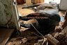 Миниатюра новости: Костромские спасатели вызволили лошадь из подвала заброшенного здания