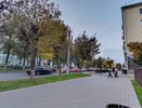 Губернская ярмарка, спасение лошади и популярные имена: подборка самых обсуждаемых новостей за 11 октября