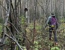 Костромской фермер оштрафован за заброшенную землю
