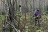 Миниатюра новости: Костромской фермер оштрафован за заброшенную землю