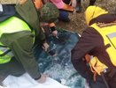 В Костромской области нашли мертвым пропавшего 64-летнего мужчину