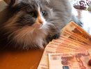 Впереди будут трудности: Набиуллина дала тревожный прогноз для всех, кто хранит сбережения в рублях