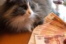 Миниатюра новости: Впереди будут трудности: Набиуллина дала тревожный прогноз для всех, кто хранит сбережения в рублях