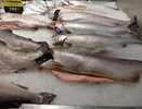 Купила дешевую рыбу в "Светофоре", при разделке глаза на лоб полезли: муж тут же примчался на мой крик