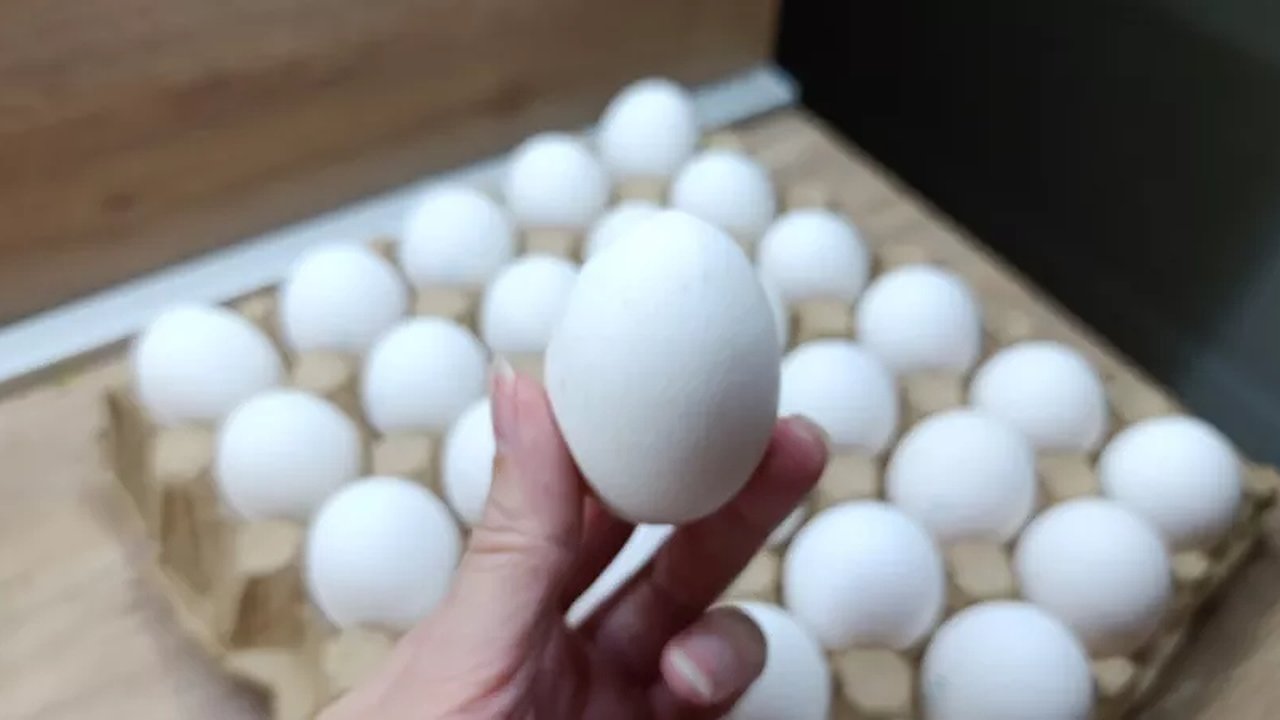 Главная картинка новости: Хитрые продавцы выбирают яйца себе домой только так - запоминайте 2 приема
