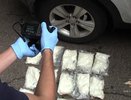 В Костроме иностранец предстанет перед судом за попытку сбыта крупной партии наркотиков