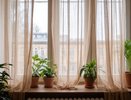 Весь тюль на 11 окнах у меня с Озона и Вайлдберриз: взяла самый дешёвый - делюсь с вами впечатлениями от покупок