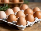 Лотки от яиц спускаю в погреб — и всю зиму слезы счастья утираю: мало кто догадывается, зачем это делаю