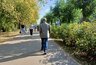 Миниатюра новости: В Костромскую область надвигаются дожди