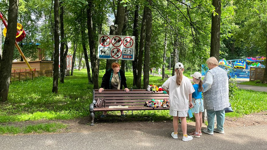 Главная картинка новости: Забудьте про детей и друзей - в старости они первыми предадут и бросят: запомните 4 жестких правила, которые помогут не сломаться