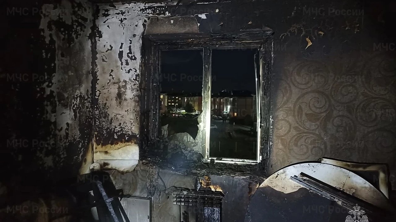 Главная картинка новости: Сотрудники МЧС спасли мужчину и кошку на пожаре в костромской Венеции