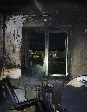 Сотрудники МЧС спасли мужчину и кошку на пожаре в костромской Венеции