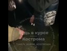 В Костроме прокуратура заинтересовалась видеозаписью, на которой вооруженные подростки заставили сверстника извиняться