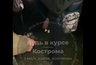 Миниатюра новости: В Костроме прокуратура заинтересовалась видеозаписью, на которой вооруженные подростки заставили сверстника извиняться