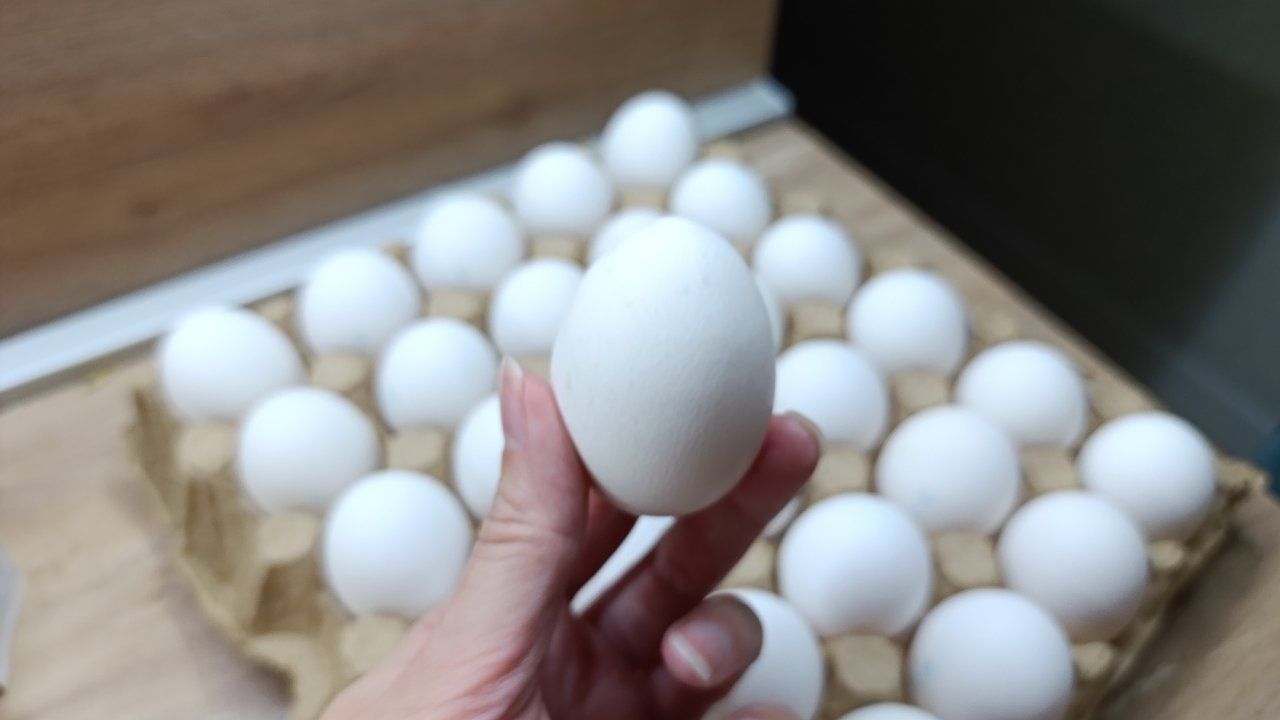 Главная картинка новости: 2 ложки в воду при варке яиц - и скорлупа слетит как миленькая: лайфхак от соседки