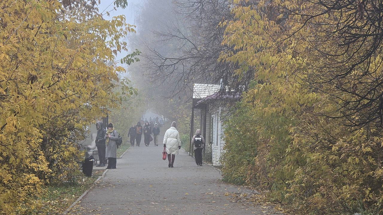 Главная картинка новости: Не пускайте этих людей в свой дом - иначе случится бедой: 1 мудрая цитата Мураками