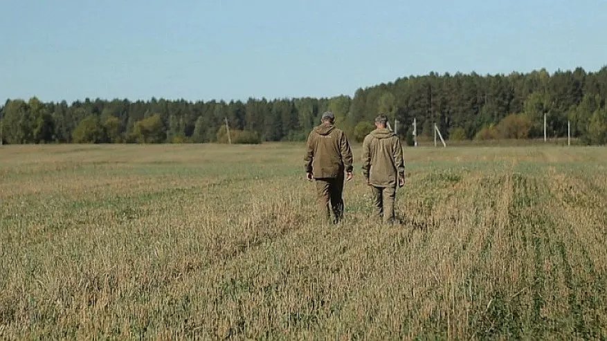 Главная картинка новости: В Костроме расширили карантинную зону из-за ясеневой изумрудной златки