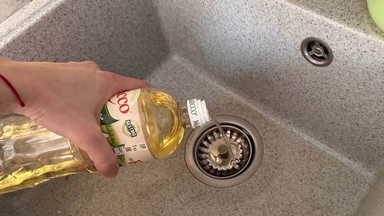 Главная картинка новости: Уходя из дома, заливаю немного подсолнечного масла в раковину - результатом довольна как слон