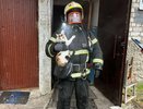 Костромские пожарные вынесли кошку из охваченной пламенем квартиры