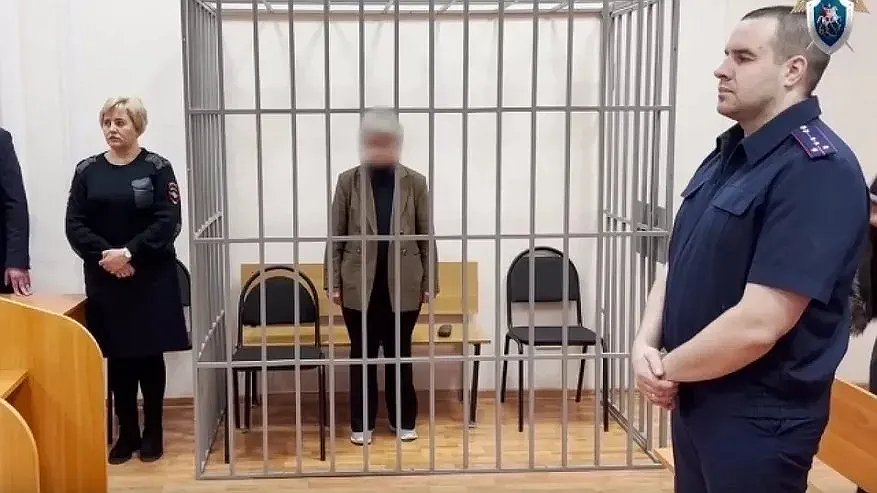 Главная картинка новости: 69-летнюю костромичку приговорили к ограничению свободы за попытку продать папин нож