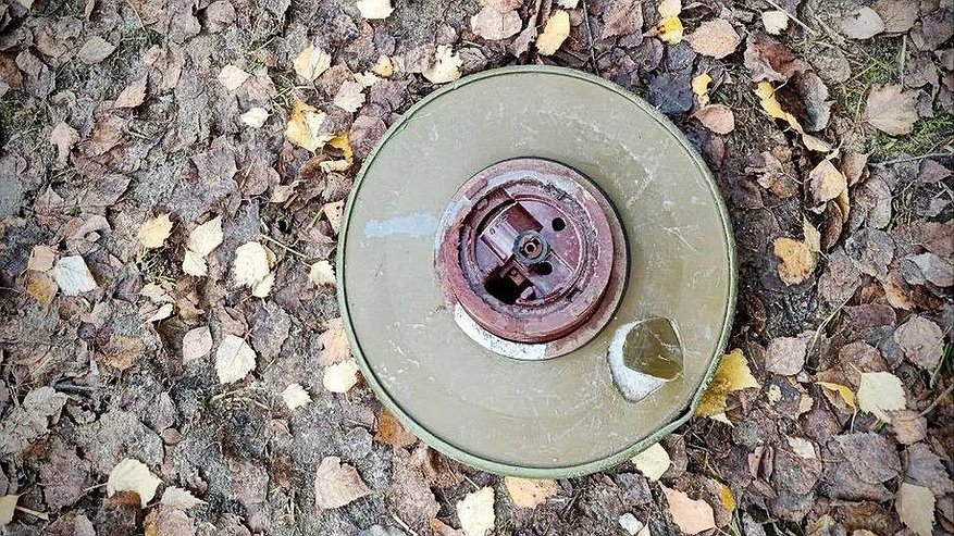 Главная картинка новости: В Костроме на стройплощадке обнаружили муляж мины