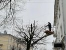 В Костроме дорожники спилили сухие ветви деревьев вдоль оживленных дорог