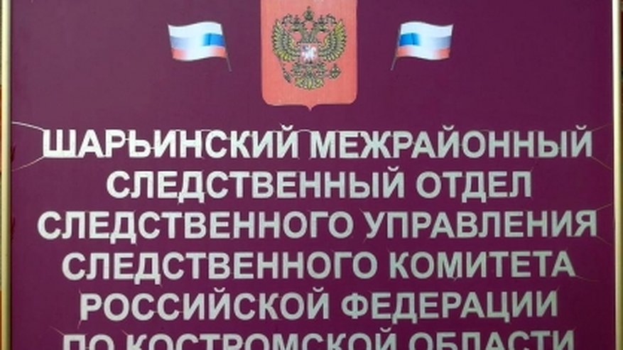 Главная картинка новости: Пьяный водитель в Шарье избил инспектора ДПС
