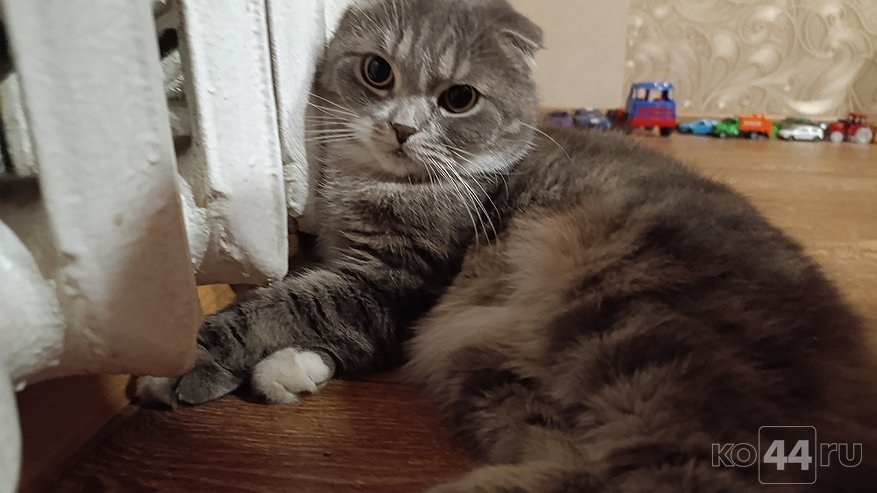 Главная картинка новости: Тепло вернулось в 20 домов Костромы после аварий на сетях